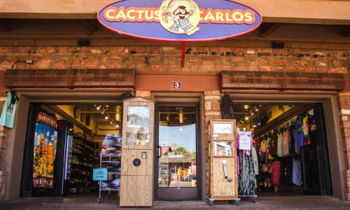 Cactus Carlos LLC