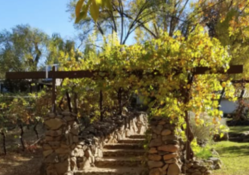 Page Springs Vineyard & Cellars