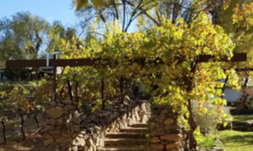 Page Springs Vineyard & Cellars