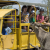 Out of Africa Wildlife Park