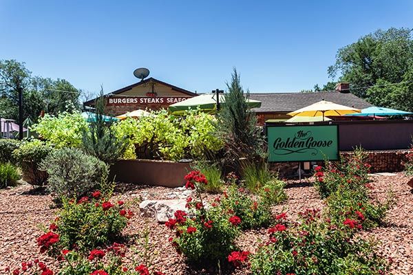 Golden Goose American Grill