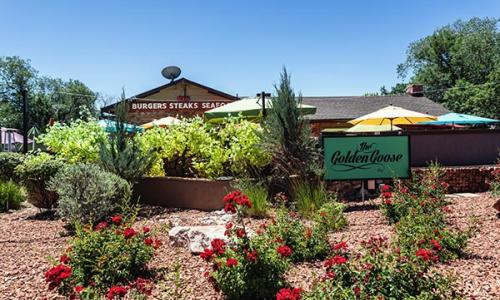 Golden Goose American Grill