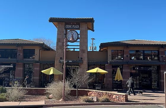 Cedic Plaza LLC
