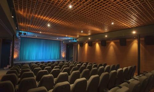 Mary D Fisher Theatre