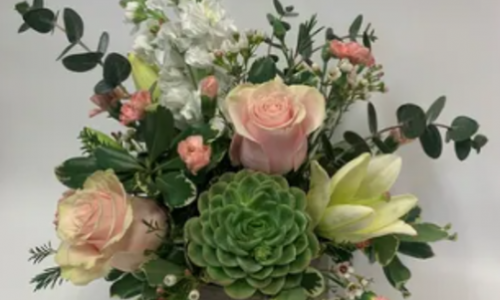 Sedona Mountain High Flowers