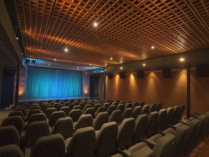 Mary D Fisher Theatre